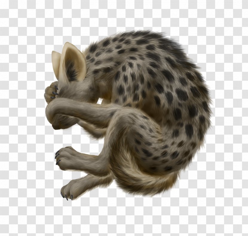 Whiskers Cheetah Wildcat Viverrids - Flower Transparent PNG