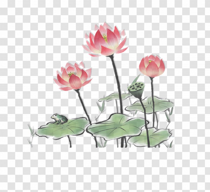 Manual Of The Mustard Seed Garden Chinese Painting Gongbi Nelumbo Nucifera Ink Wash - Aquatic Plant - Style Lotus Transparent PNG