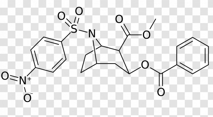 Troparil Structural Analog Cocaine Benzoylecgonine Dichloropane - Frame - Cocain Transparent PNG