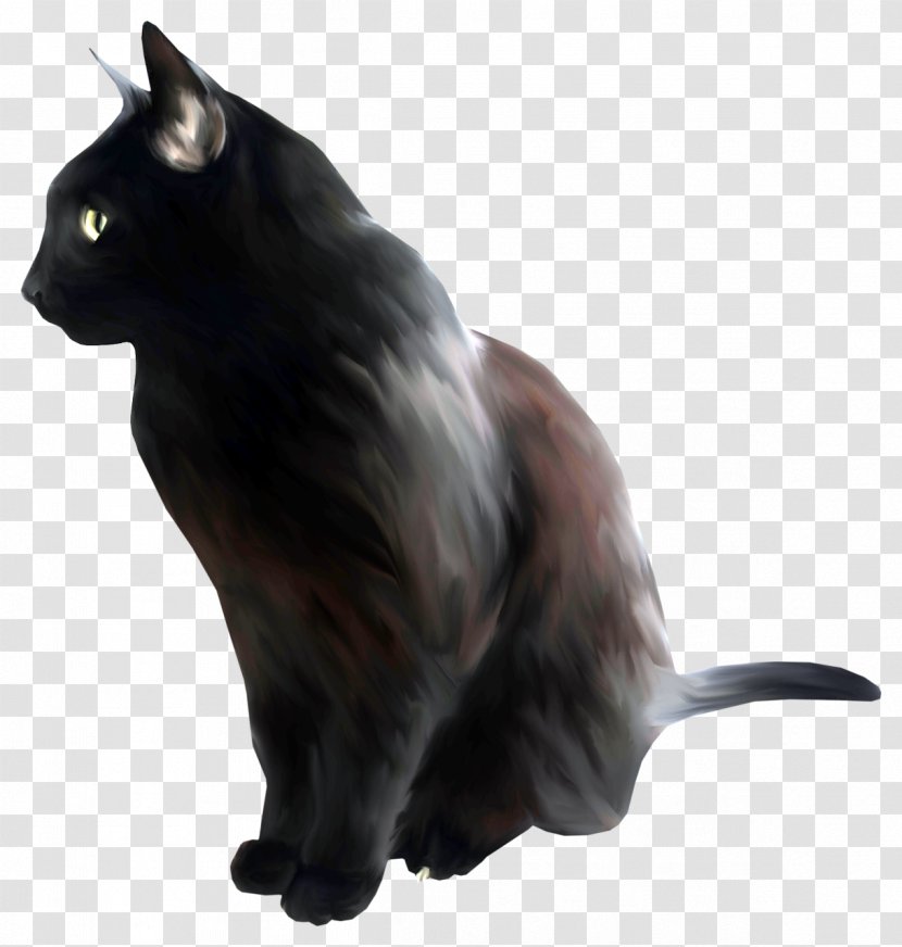Black Cat Bombay Domestic Short-haired Kitten Watercolor Painting Transparent PNG