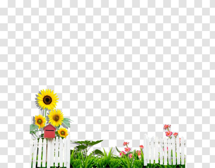 Garden Fence Download Wallpaper - Flora - Material Transparent PNG