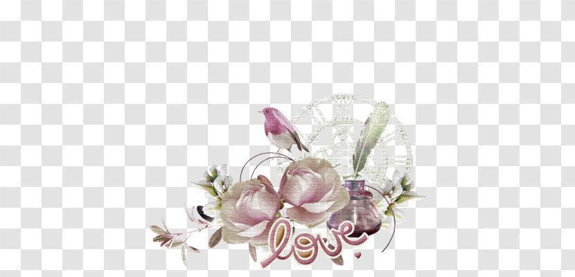 Floral Design Computer Cluster - Flower - Flowering Plant Transparent PNG