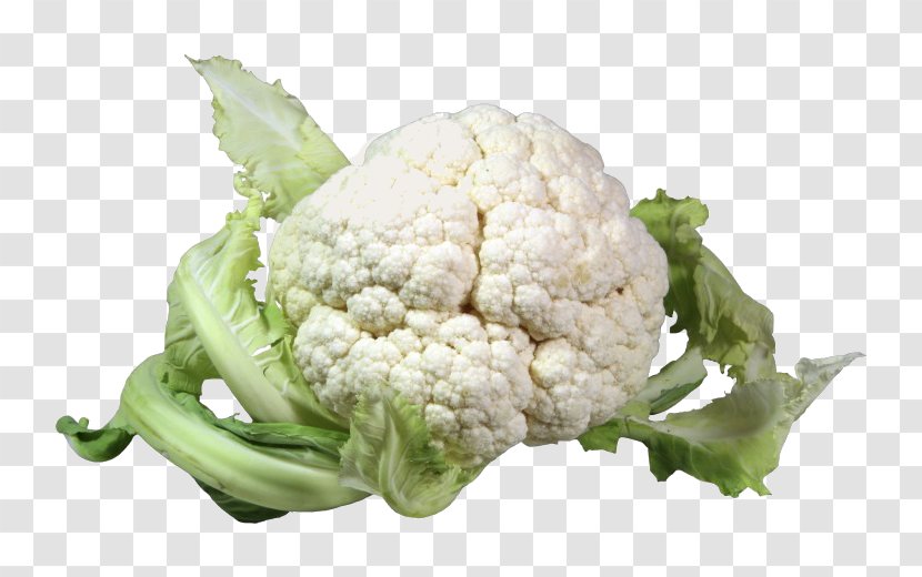 Cauliflower Gratin Cabbage Vegetable Broccoli - Brussels Sprout - White Transparent PNG