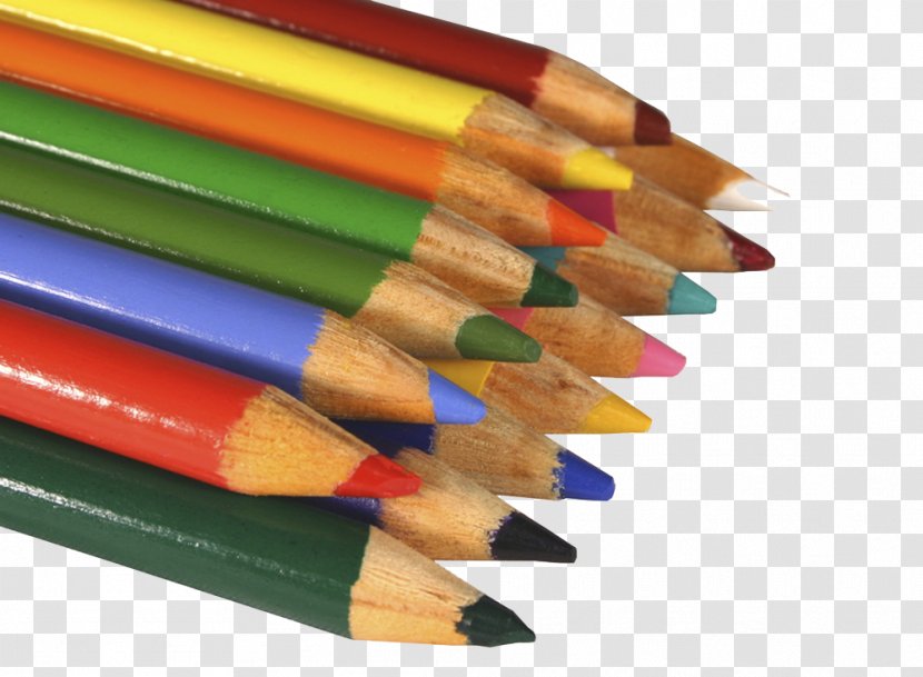 Visual Arts Artist Drawing Colored Pencil - Art - Colorful Transparent PNG