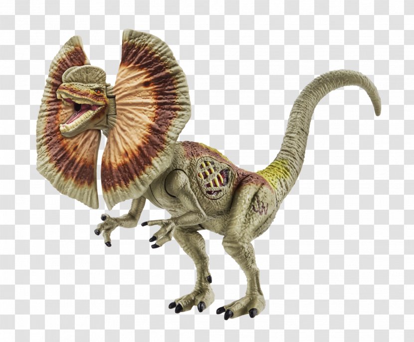Tyrannosaurus Jurassic Park Hasbro Indominus Rex Action & Toy Figures - Dilophosaurus - Film Transparent PNG