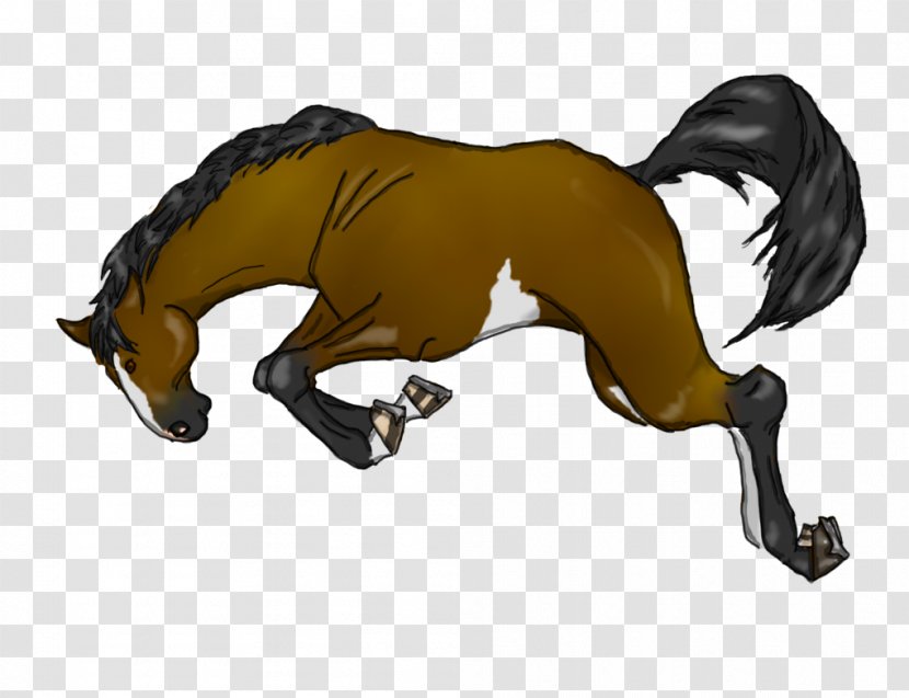Mustang Stallion Pony Dog Canidae Transparent PNG