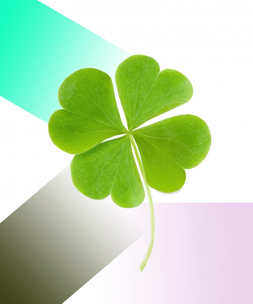 Four-leaf Clover Luck Symbol Transparent PNG