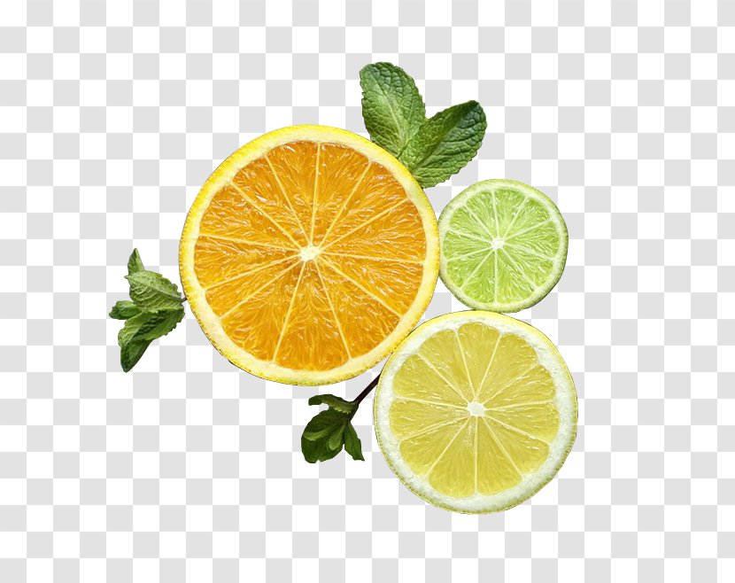 Lemon-lime Drink Key Lime Rangpur - Citrus - Lemon Slice Material Transparent PNG