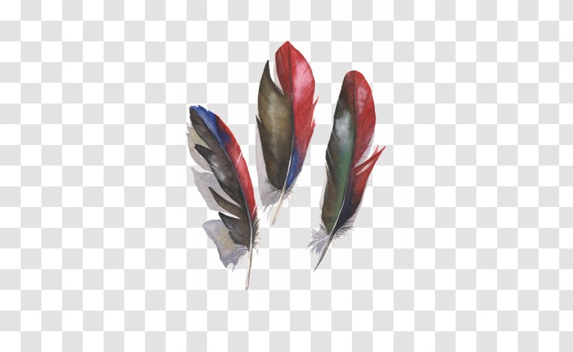 Amazon Parrot Bird Feather - Macaw - Red And Black Feathers Transparent PNG