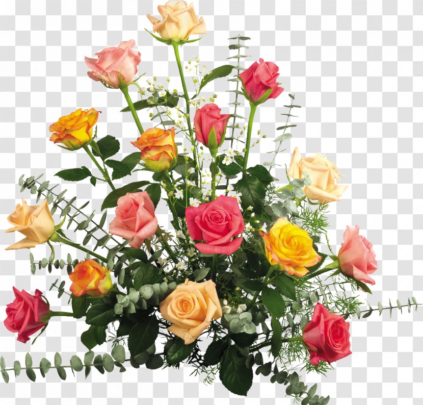 Party Happy Birthday To You Grandmothers Day New Year - Annual Plant - Champagne Rose Transparent PNG