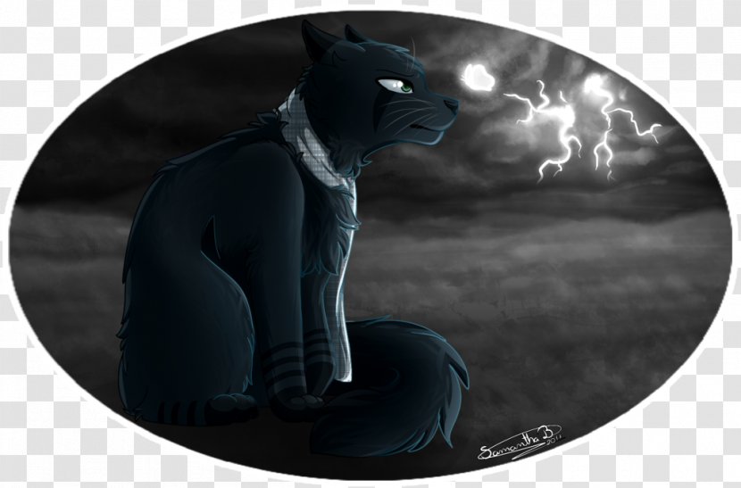 Black Cat Snout Panther - Different Way Transparent PNG