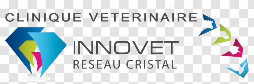 Clinique Vétérinaire Innovet Veterinary Clinic Magazine Route D'Aviré Veterinarian - Online Advertising - Rousseau Transparent PNG