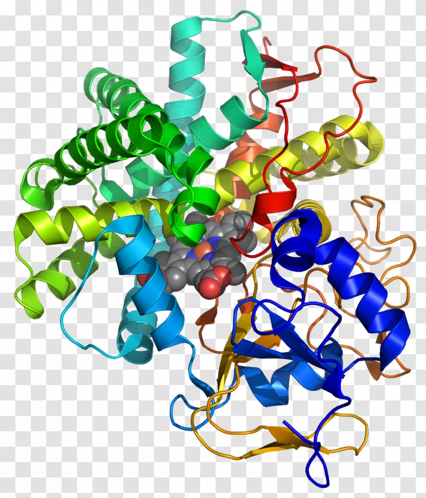 Prostacyclin Synthase Calmodulin Prostaglandin Protein Kinase A - Art - Artwork Transparent PNG