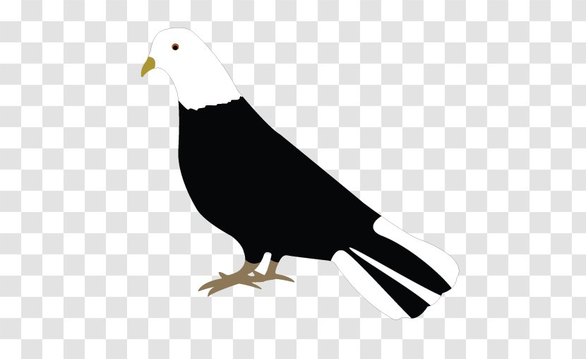 Royalty-free Art Clip - Line - White Dove Transparent PNG