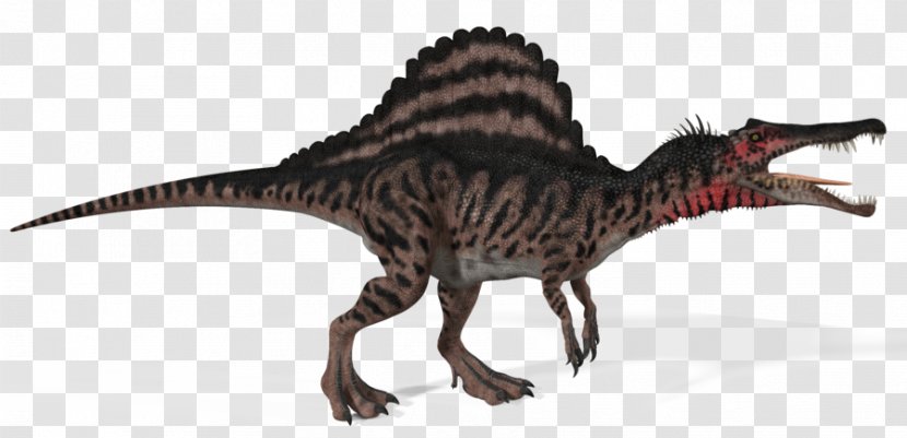 Spinosaurus Tyrannosaurus Giganotosaurus Carnivores: Dinosaur Hunter Size - Carnotaurus Transparent PNG