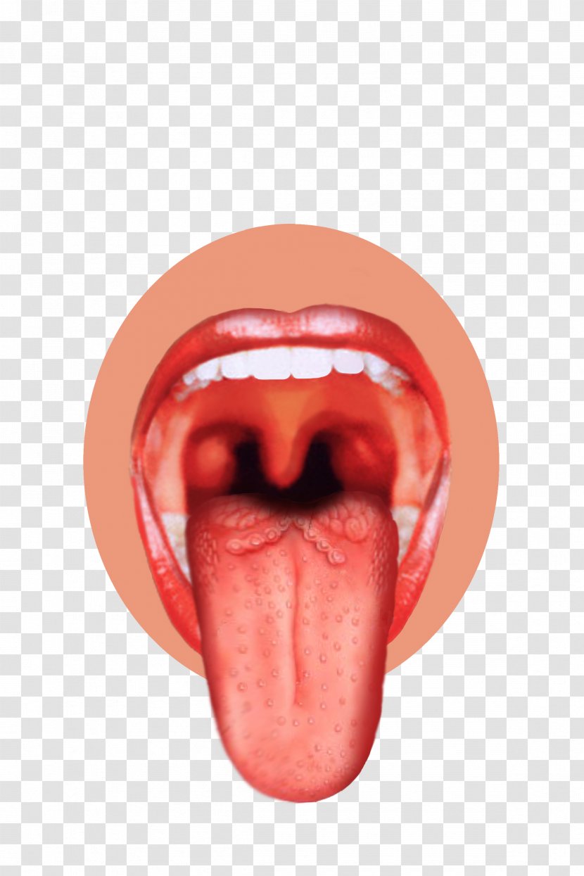 Tongue Sense Sensory Nervous System Taste Bud Human Mouth - Watercolor Transparent PNG