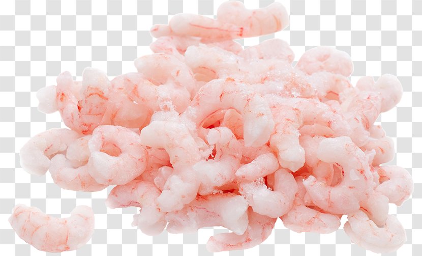 Caridea Prawn Whiteleg Shrimp Chennai - Frozen Food - Shrimps Transparent PNG