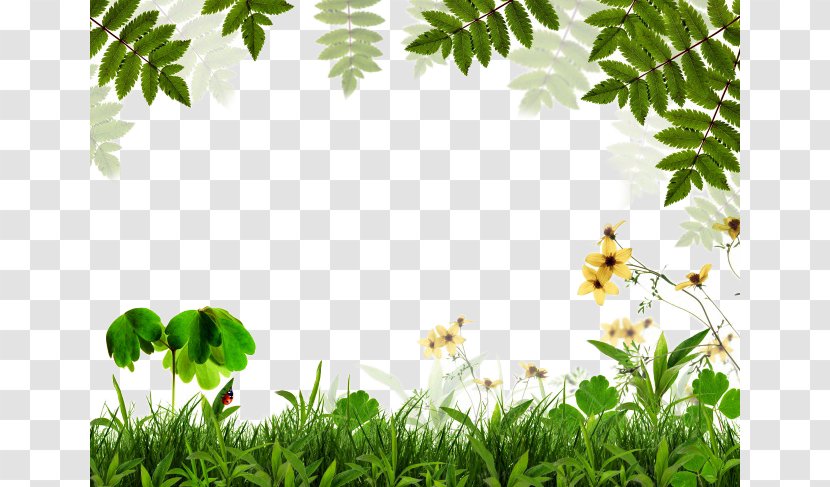 Green Leaf Euclidean Vector - Aliexpress - Spring Background Border Transparent PNG