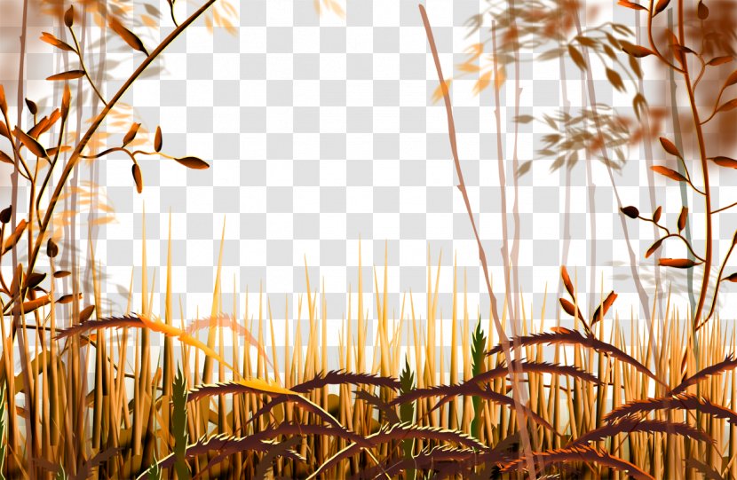 Cartoon Autumn Landscape Dry Yellow Grass - Branch - Commodity Transparent PNG