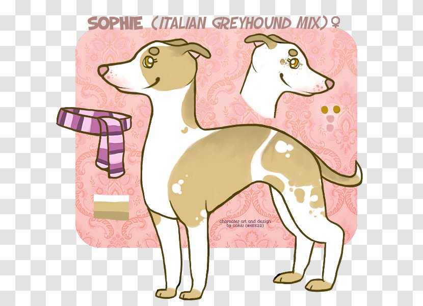 Italian Greyhound Whippet Spanish Dog Breed - Tequilla Transparent PNG