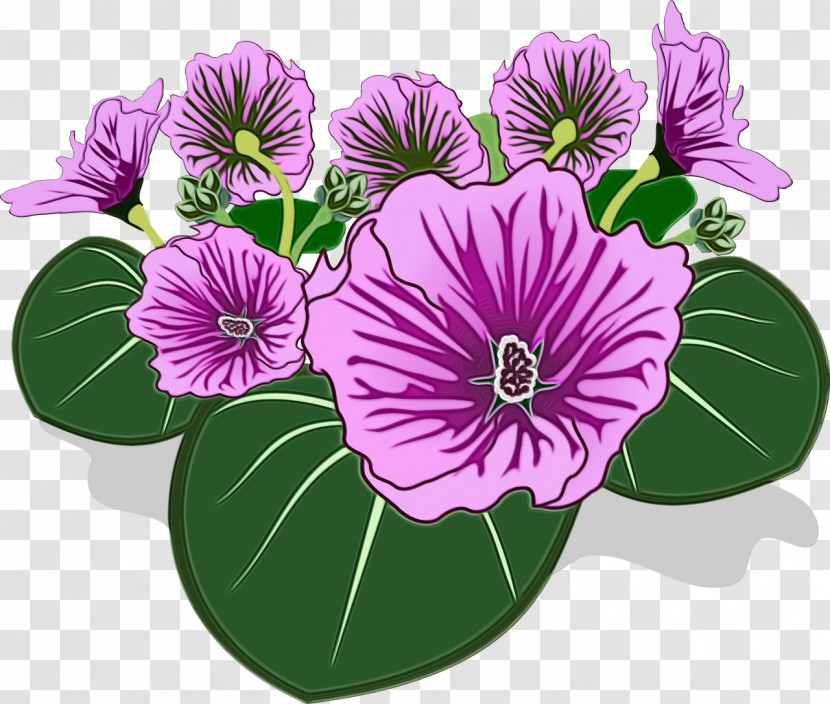 Flower Purple Violet Plant Petal Transparent PNG