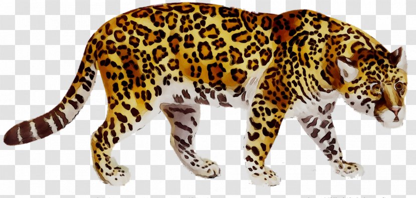 Jaguar Cars Leopard Cheetah Tiger - Cat - Mammal Transparent PNG