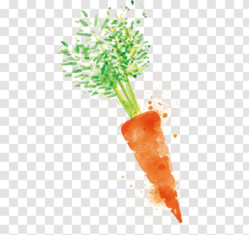 Carrot Turnip Cake Radish Vegetable Transparent PNG