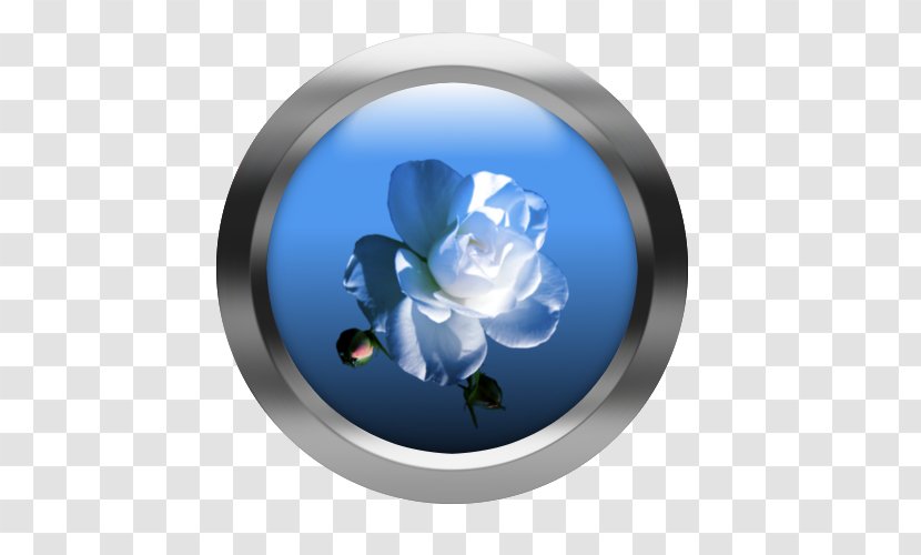 Rose Family Cobalt Blue Petal Flower - Creative Web Buttons Transparent PNG