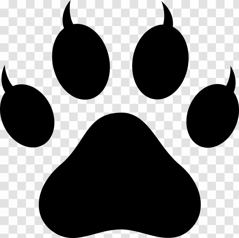 Dog And Cat - Wolf - Blackandwhite Snout Transparent PNG