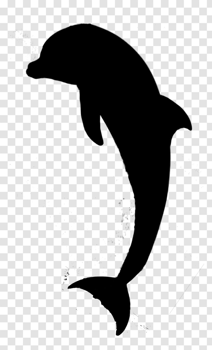 Dolphin Bird Fauna Beak Silhouette - Tucuxi Transparent PNG