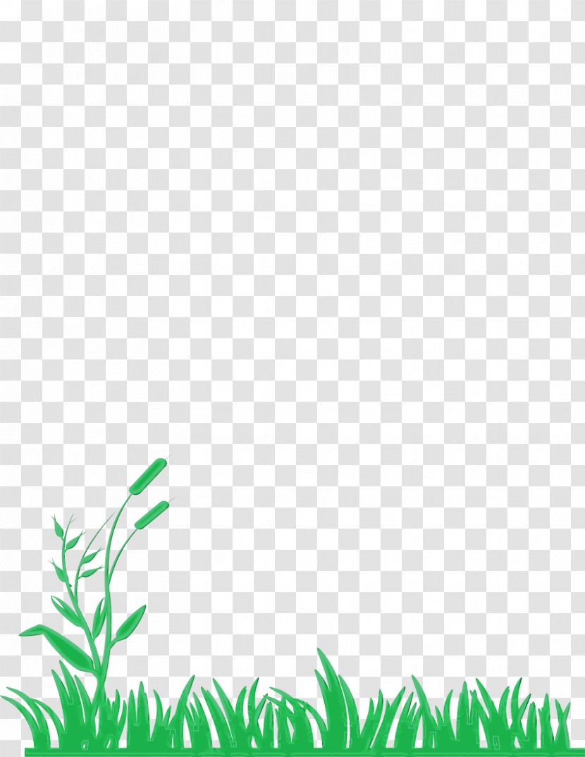 Green Leaf Vegetation Grass Plant - Vascular Transparent PNG