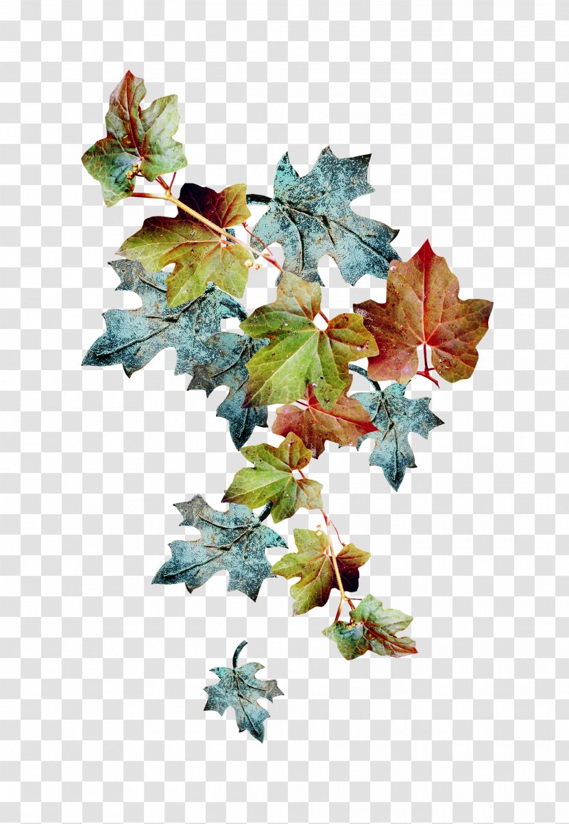 Christmas Ornament Leaf Branching - Autumn Transparent PNG