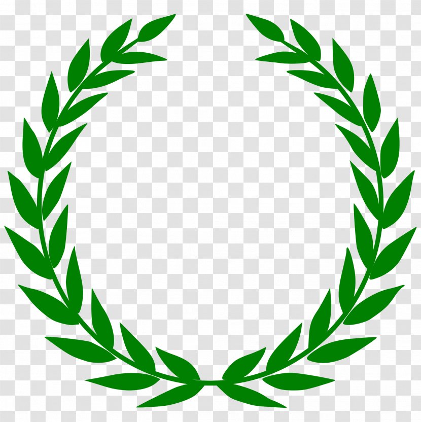 T-shirt Laurel Wreath Bay - Plant - Olives Transparent PNG