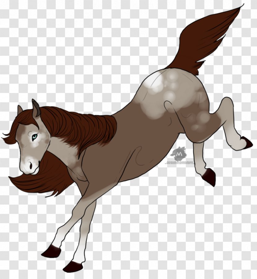 Mule Foal Stallion Mustang Mane Transparent PNG