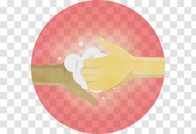 Joint Yellow Human Biology Science Biology Transparent PNG