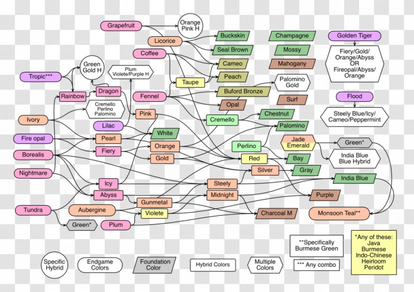 Technology Line Diagram Transparent PNG