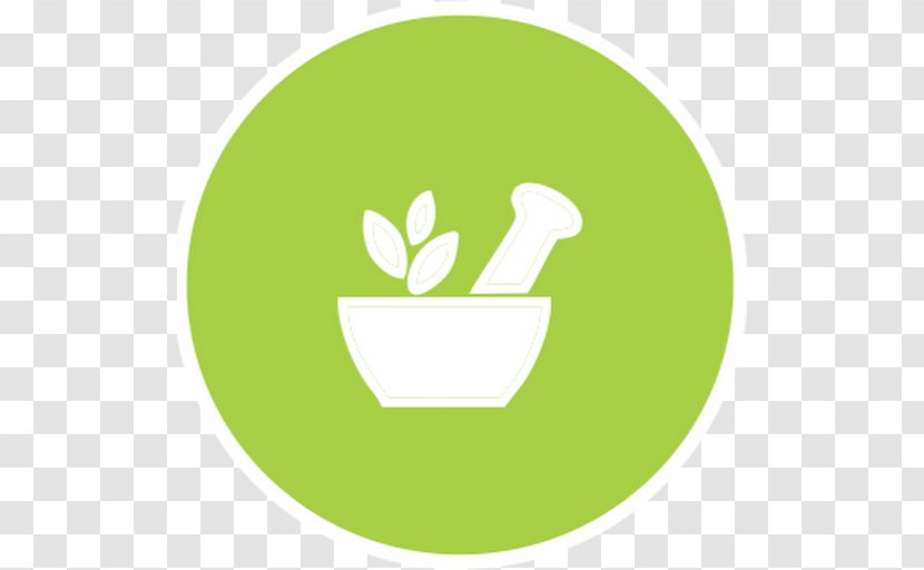 Green Demo Inc. Chicken Soup Food - Leaf Transparent PNG