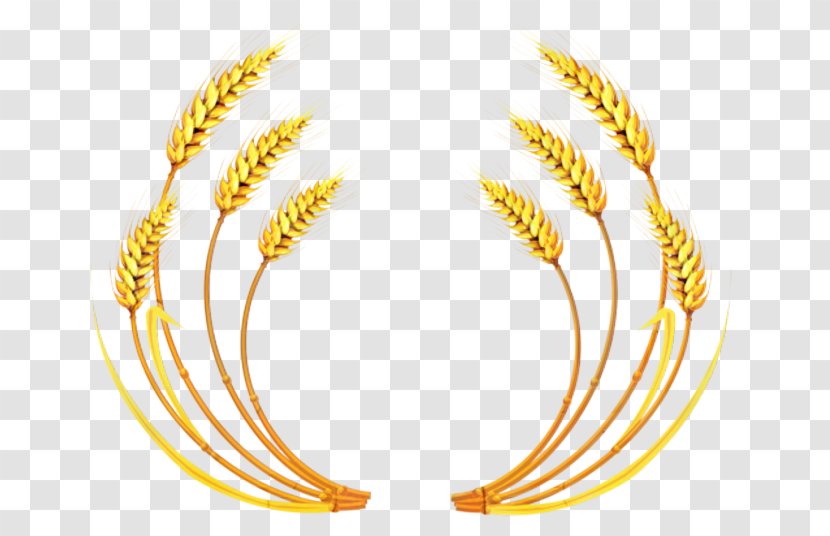 Wheat Cartoon - Body Jewelry Jewellery Transparent PNG