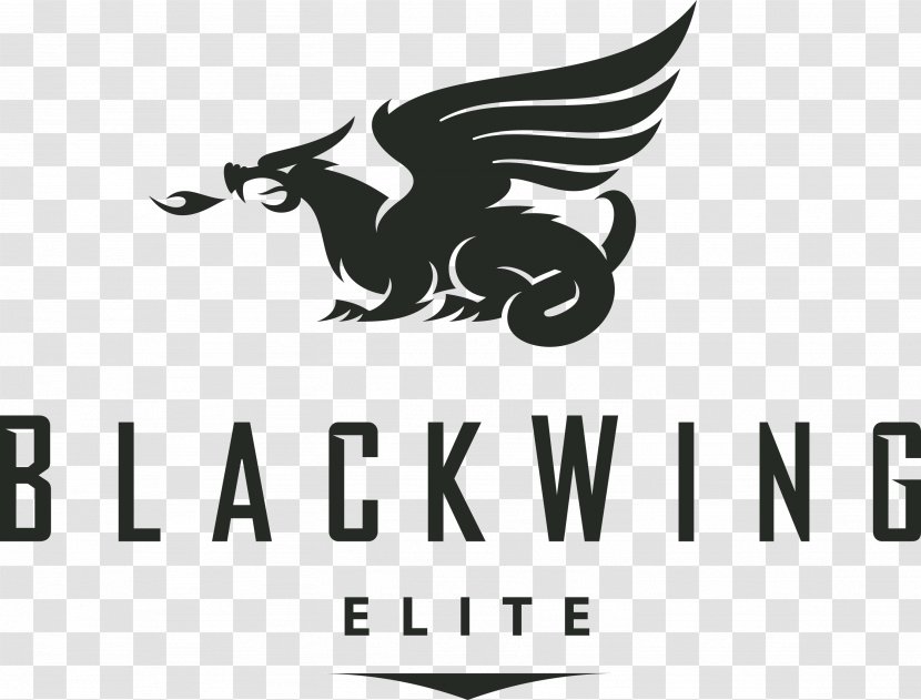 Blackwing Builders Franchising Employment Architectural Engineering Business - Management - Black Wing Transparent PNG