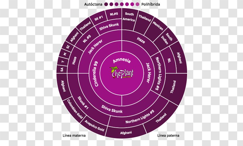 Brand Product Design Diagram Purple - White Widow Cannabis Transparent PNG