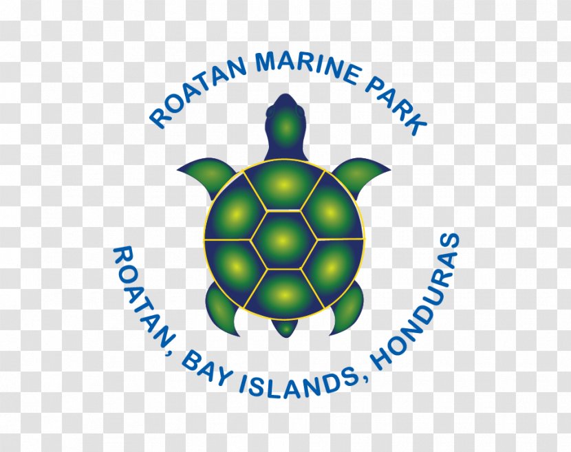 Roatán Marine Park T-shirt ROATAN MARINE PARK, NGO Grumpy Cat Coral Reef - Underwater Transparent PNG