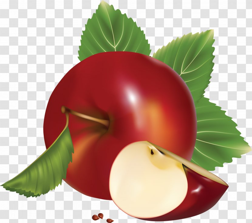 Clip Art - Fruit - Apple Transparent PNG