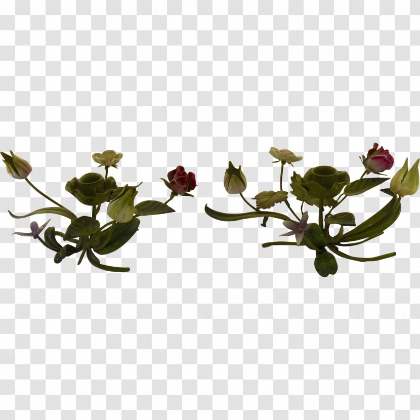Twig Plant Stem Flowerpot Leaf Transparent PNG
