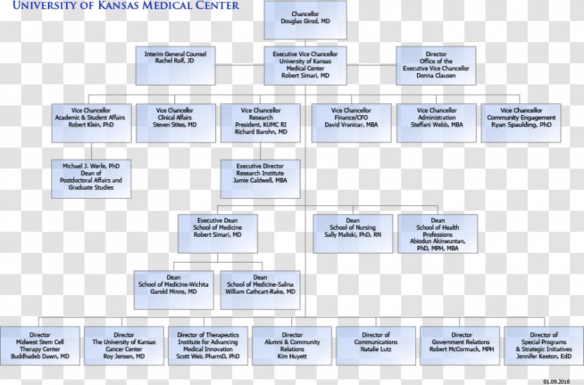 Organizational Chart The University Of Kansas Medical Center Diagram Structure - Medicine - Biopharmaceutical Color Pages Transparent PNG