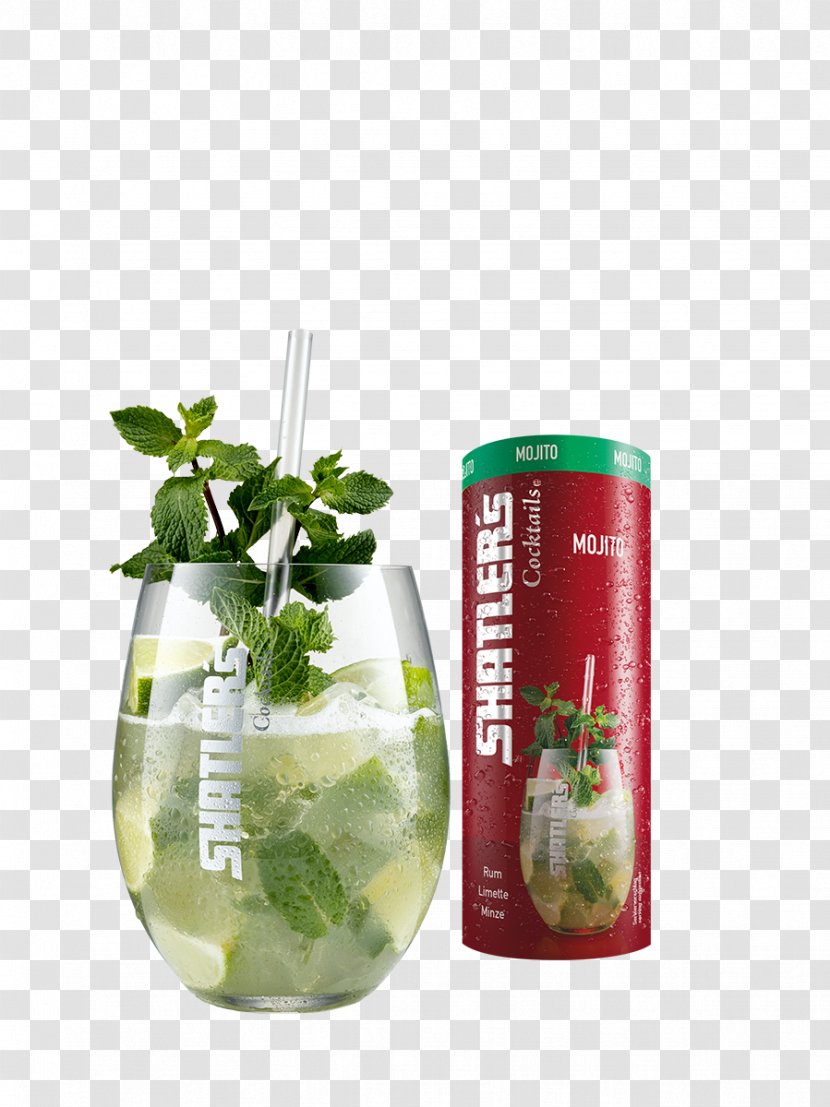 Mojito Bacardi Cocktail Long Island Iced Tea Mint Julep - Drink Transparent PNG