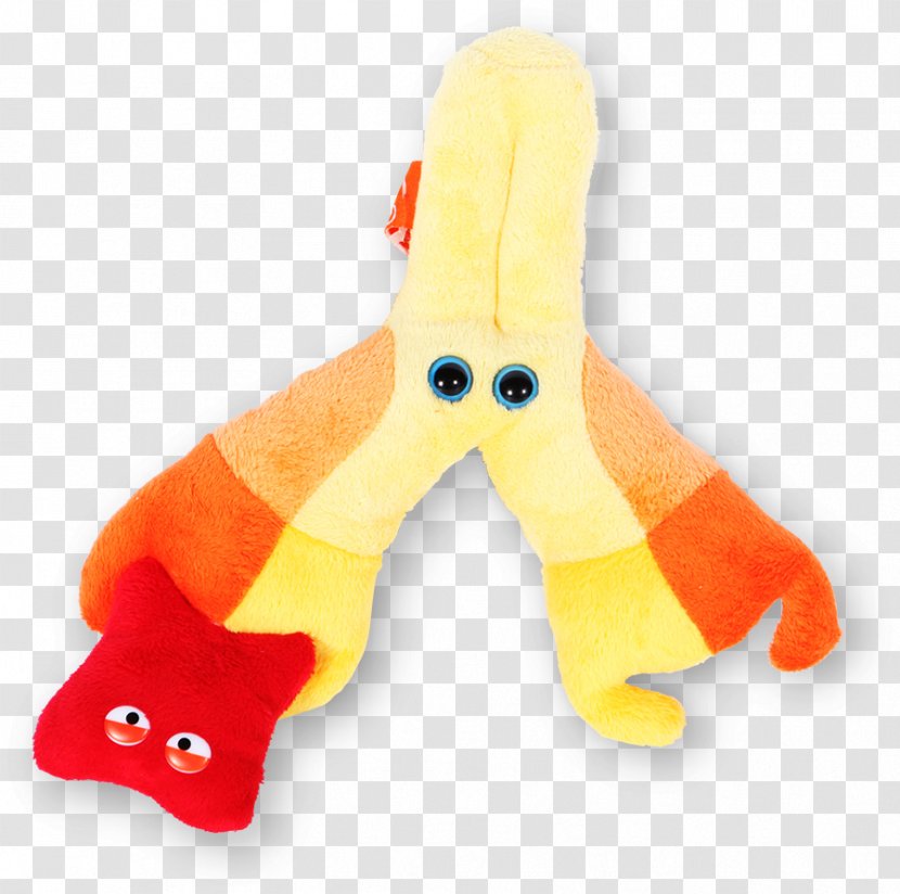 Questacon Stuffed Animals & Cuddly Toys GIANTmicrobes Microorganism - Bacteria - Sterilized Virus Antibody Transparent PNG
