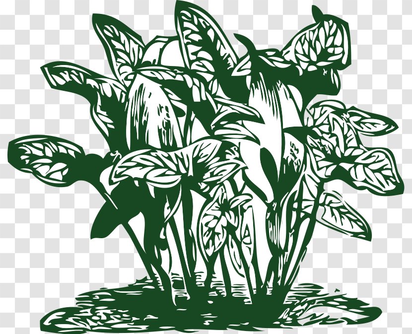 Plant Tropics Tropical Vegetation Clip Art - Grass - Vegtable Pictures Transparent PNG
