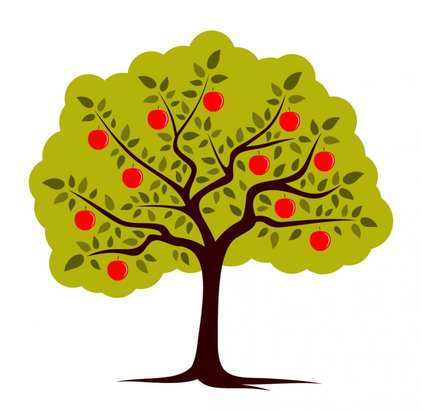 Apple Fruit Tree Clip Art - Woody Plant Transparent PNG