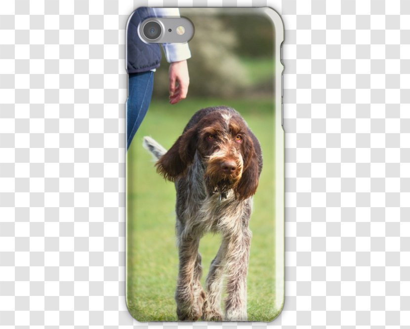 Field Spaniel Irish Setter Boykin Picardy Sussex - Dog Bubbles Transparent PNG