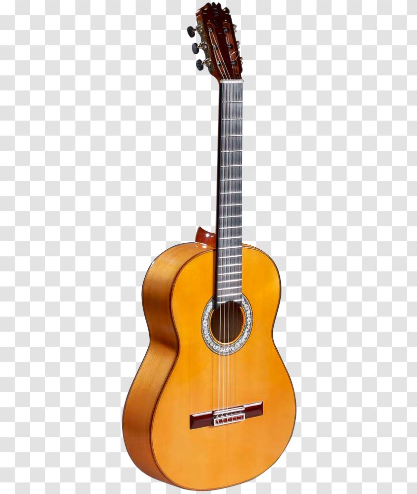 Acoustic Guitar Tiple Cuatro Cavaquinho Acoustic-electric - Cartoon Transparent PNG